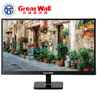 Great Wall 长城  L2078WP 19.5英寸 原厂LGD IPS屏 16:10宽屏 电脑办公液晶显示器