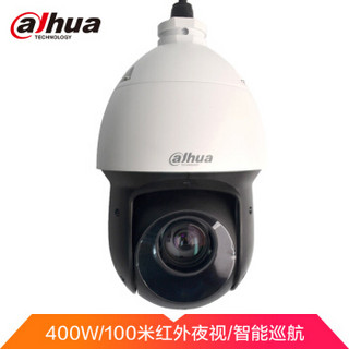 大华（Dahua）监控摄像头 400万4寸网络智能球机摄像头 23倍光学变倍 100米红外夜视 DH-SD-49D423XB-GNR-D