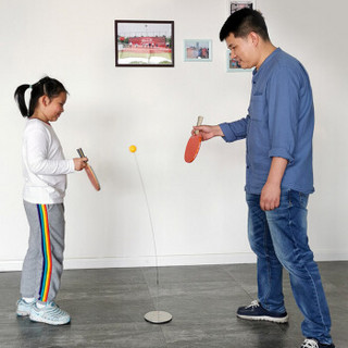 DHS 红双喜 乒乓球训练器乒乓球自练弹力软轴儿童玩具乒乓球拍训练器金属底座
