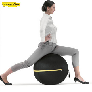 Technogym泰诺健腰背放松坐姿球WELLNESS BALL健身瑜伽球55cm直径意大利原装进口健身房会所商用