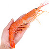 蓝雪 冷冻阿根廷红虾 L1（大号） 2kg 30-40只  大虾 原装进口 海鲜水产
