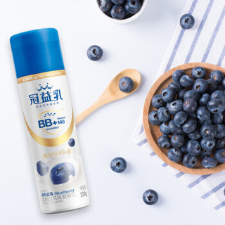 MENGNIU 蒙牛 冠益乳BB+M8 益生菌低温酸牛奶 蓝莓味200g*3