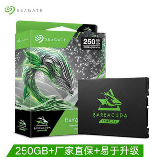 SEAGATE 希捷 120系列 酷鱼 BarraCuda SSD  固态硬盘 SATA接口 ZA250CM10003