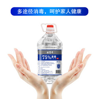 佳佰 75%酒精乙醇消毒液 家用酒店衣物杀菌除菌液 消毒水5L*1