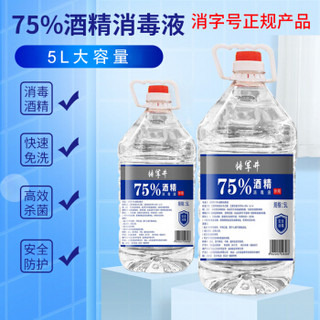 佳佰 75%酒精乙醇消毒液 家用酒店衣物杀菌除菌液 消毒水5L*1