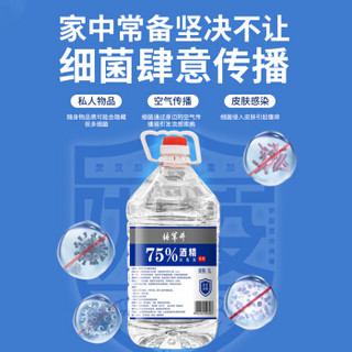 佳佰 75%酒精乙醇消毒液 家用酒店衣物杀菌除菌液 消毒水5L*1