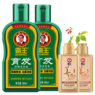 霸王防脱发洗发水生发套装育发防脱洗发液380ml*2+生姜洗发露80ml+护发素80ml（增发密发控油 男士女士）