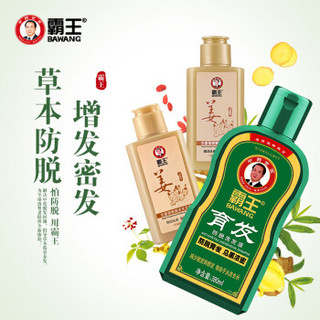 霸王防脱发洗发水生发套装育发防脱洗发液380ml*2+生姜洗发露80ml+护发素80ml（增发密发控油 男士女士）