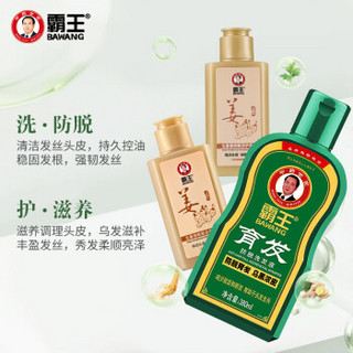 霸王防脱发洗发水生发套装育发防脱洗发液380ml*2+生姜洗发露80ml+护发素80ml（增发密发控油 男士女士）