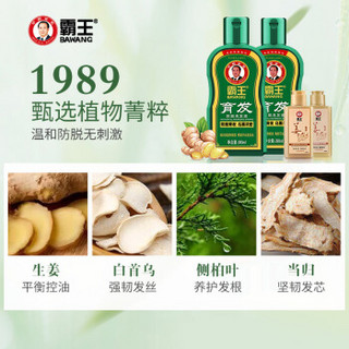 霸王防脱发洗发水生发套装育发防脱洗发液380ml*2+生姜洗发露80ml+护发素80ml（增发密发控油 男士女士）