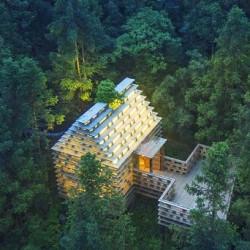 野奢树屋！齐云山自由家单卧树屋1晚+齐云山门票2张
