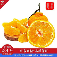 维乐季  四川眉山不知火丑橘 5斤（净重） (大果)果径80mm以上