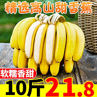 高山香蕉新鲜10斤包邮当季水果芭蕉整箱应季大香焦批发小米蕉粉蕉