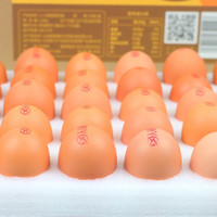 东方态美 黑岛牌丫蛋儿 海鸭蛋咸鸭蛋 初产蛋*20枚装