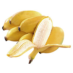 薯家上品 广西小米蕉2.5斤 新鲜现摘香蕉非芭蕉当季应季水果