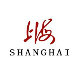上海手表全自动机械男18k真金65周年纪念金表镶钻红点指针x933国表带