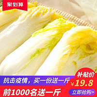 新鲜蔬菜 2斤上等娃娃菜 新鲜蔬菜 小白菜1000g 包邮