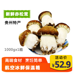 紫云 新鲜一级赤松茸1000g 火锅食材