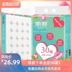 丽邦卫生纸卷纸家用实惠装立邦纸巾卷筒纸无芯手纸厕所厕纸30卷 *2件