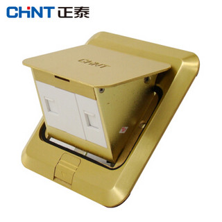 正泰（CHNT）NED1-31400 黄铜地板插座电话电脑地插组合地插 弹起式不含暗盒组合地插