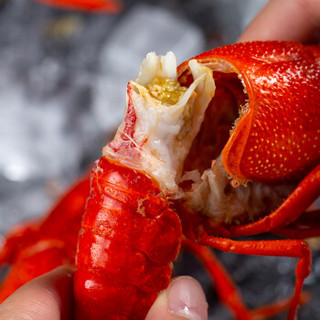 隆上记 麻辣小龙虾熟食1.8kg 4-6钱/36-48只 净虾1kg 海鲜水产