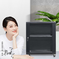 奈高NG网络机柜钢制铁皮柜网络机柜服务器机柜前后玻璃门12u635*600*400MM