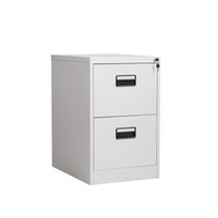 中伟文件柜快劳柜A4卡箱资料柜二斗卡箱办公柜加厚升级款