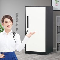 奈高NG文件柜办公柜抽屉柜矮柜铁皮资料柜储物柜收纳单门柜加厚款