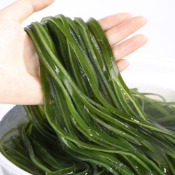 兰花草 盐渍海带丝 3斤 箱装