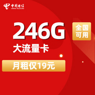 中国电信 四川电信 全国 手机卡 流量卡 大圣卡 19元/月（享246G流量+100分钟通话）