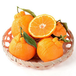 红珍 不知火柑橘 一级果 果径（75-80mm） 净果约8斤