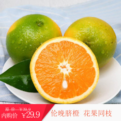 伦晚脐橙花果同枝薄皮新鲜水果送2净重5斤小果