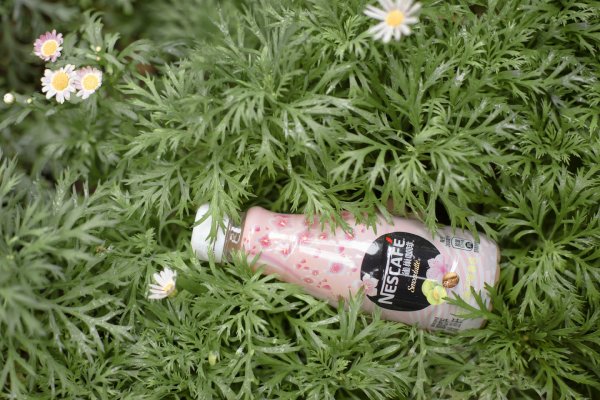 可盐可甜!今年樱花限定是我见过最美的一届