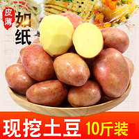 HONGGAOLIANG/红高粱牌 云南小土豆新鲜10斤