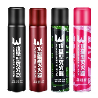 伟记行   车载家用水基灭火器 600ml