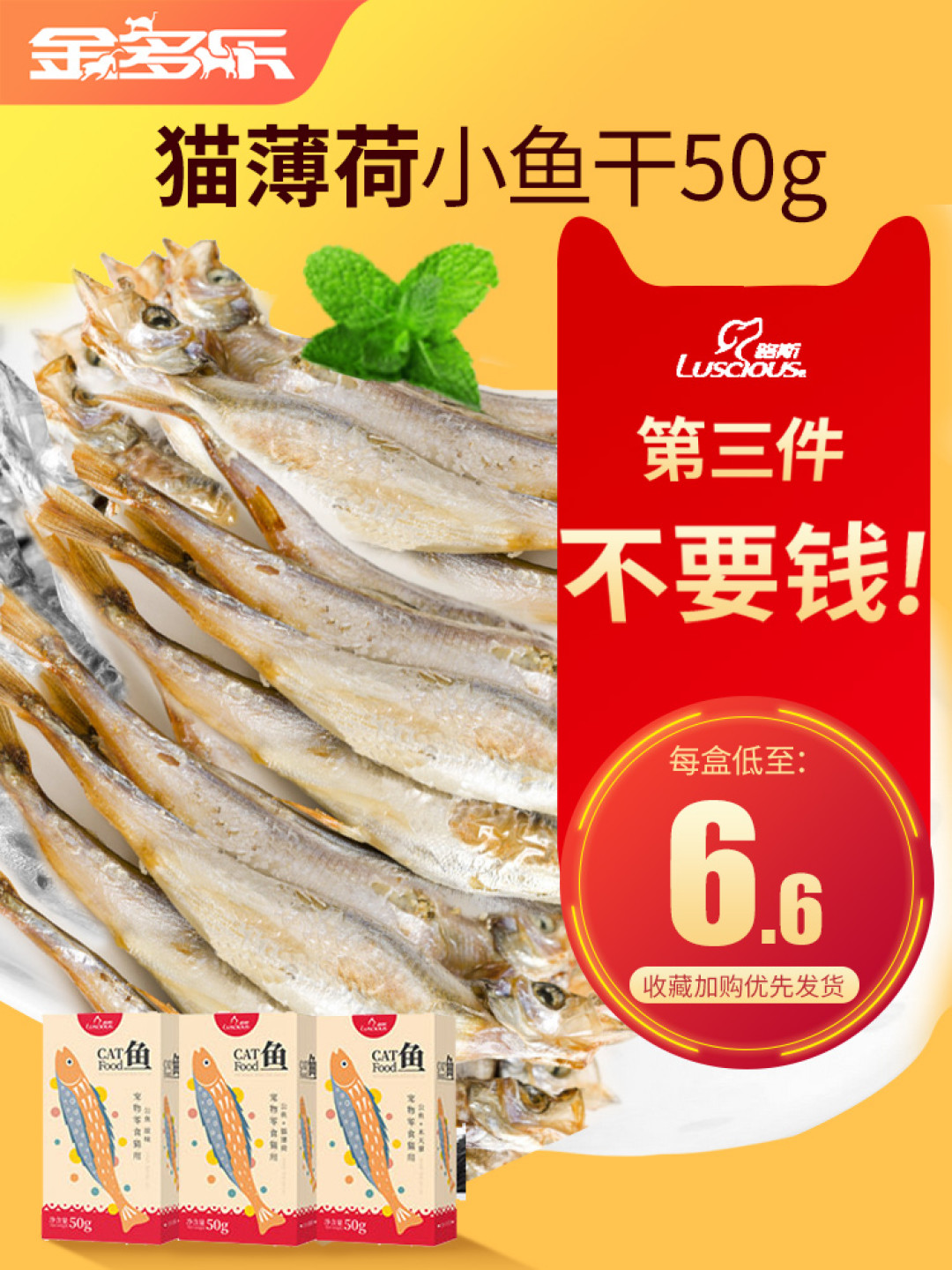 多图预警 | 把小奶猫养成“精神小伙”的超全面育儿经验帖