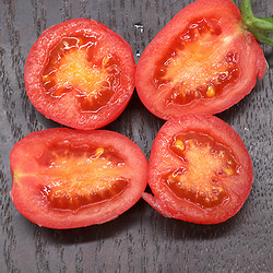新鲜圣女果小番茄超甜农家自然熟千禧圣女果孕妇水果蔬菜5斤装