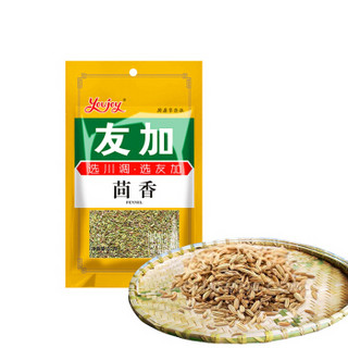 四川特产 友加 茴香50g 川菜火锅佐料 卤料配料 烧菜香料