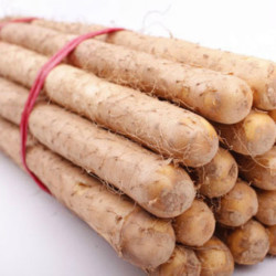 华睿 河南新鲜铁棍山药 5斤 单根40cm