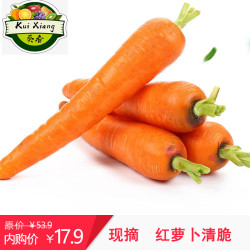 新鲜胡萝卜现挖产地直发河南农家沙地新鲜蔬菜红萝卜 5斤小果
