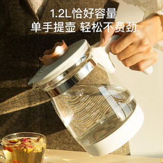 美的（Midea）小皇冠SE恒温调奶器 暖奶器电热水壶温奶器1.2L 多功能母婴儿冲泡奶粉水壶