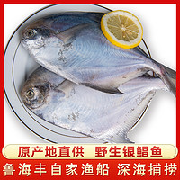 LHF/鲁海丰 深海野生银鲳鱼4斤装