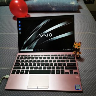 VAIO SX12 12.5英寸轻薄本樱花粉(酷睿i5-8265U、核芯显卡、8GB、256GB