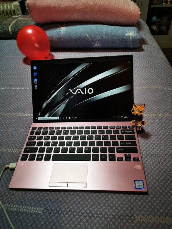 VAIO SX12 12.5英寸轻薄本樱花粉(酷睿i5-8265U、核芯显卡、8GB、256GB