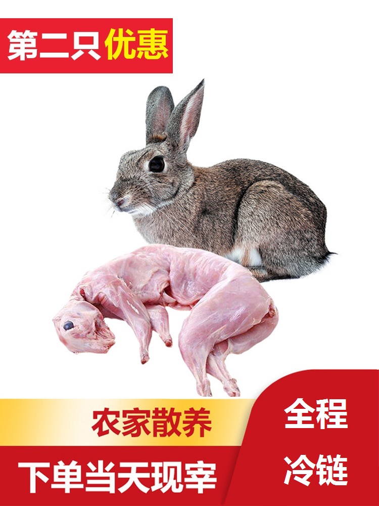 云依禾农庄新鲜野兔肉现杀净含量1000g只2件