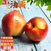 首尚鲜 山东脆油桃 带箱5斤 净重4.5斤