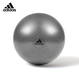 阿迪达斯（adidas）瑜伽球 加厚防爆健身球 弹力球男女通用健身器材 配充气筒 灰色 直径55CM ADBL-11245GR