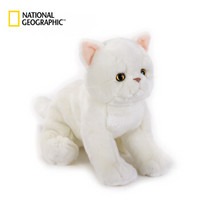 国家地理（National Geographic）萌宠系列 礼盒版 10.5英寸 异国短毛猫 仿真动物毛绒玩具生日礼物