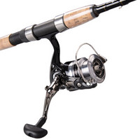 达亿瓦（DAIWA）CROSSFIRE 662MFS路亚竿+2500型纺车轮+2.5号粉 渔具组合套