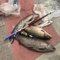 宝飞龙飞龙传奇超轻硬5H台钓竿28调鲫鲤鱼竿草青大物手杆黑坑综合钓鱼竿官方旗舰舰店 4.2米+原装竿稍+金属竿止